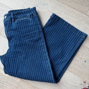 Joe Jeans High Rise Striped Wide Leg Crop Jeans 28